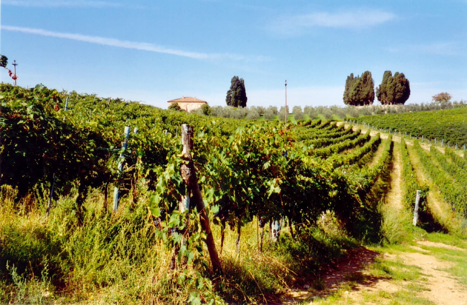 Vinregion i Toscana