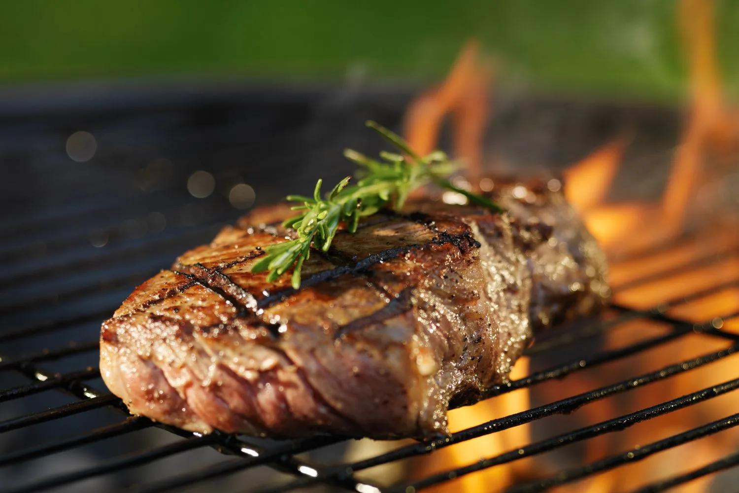 Steak laves på indirekte varme på en gasgrill